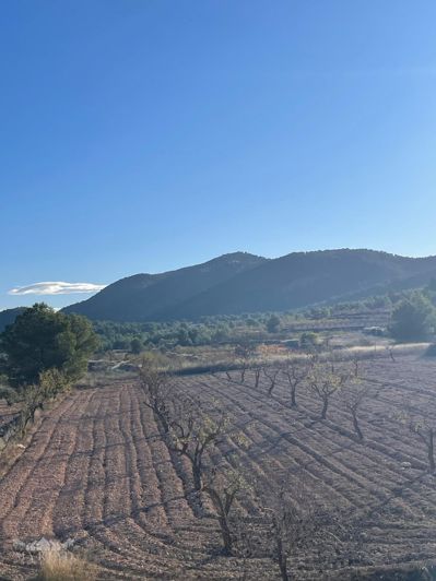 Image No.41-6 Bed Villa for sale