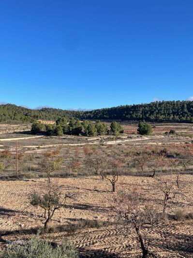 Image No.42-6 Bed Villa for sale