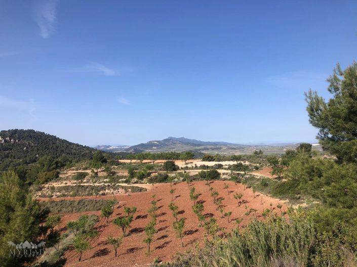 Image No.44-6 Bed Villa for sale