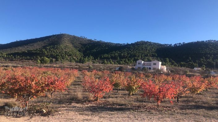 Image No.46-6 Bed Villa for sale