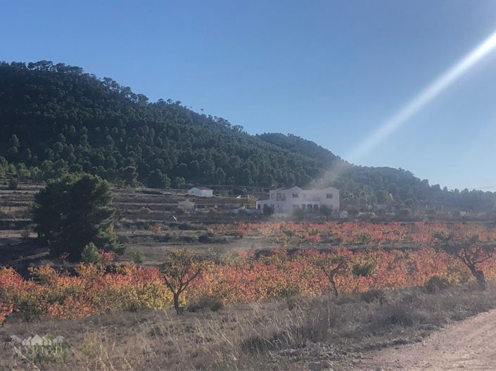 Image No.49-6 Bed Villa for sale