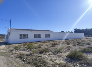 wwhatsapp-image-2025-11-23-at-1312597b8a5cca