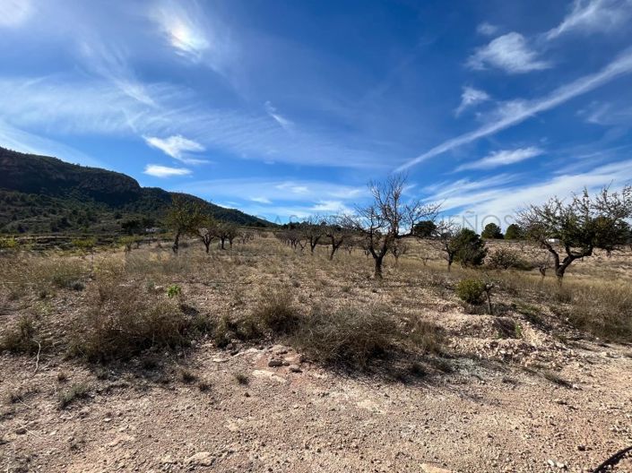 Image No.30-2 Bed Country House for sale