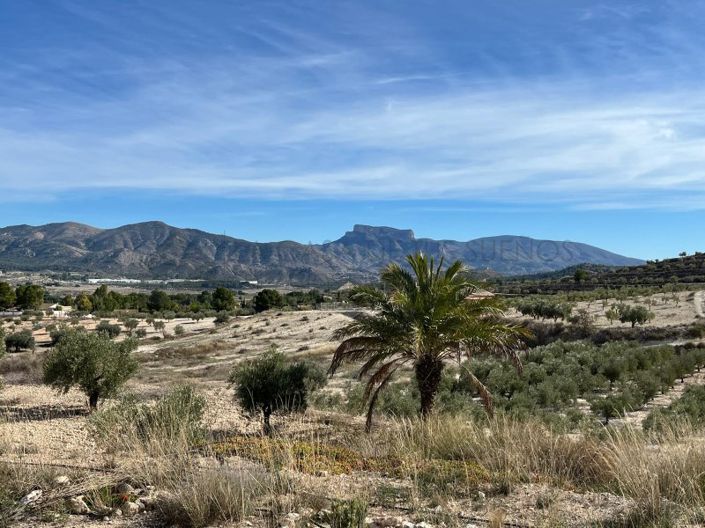 Image No.32-2 Bed Country House for sale