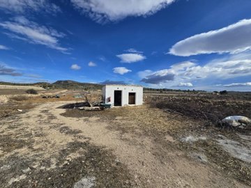 wimg-20251206-wa0012