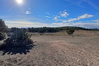 wjyjmc665py7bygkp83sp