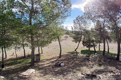 wtb5y3vfwenzzhcbsq7xj