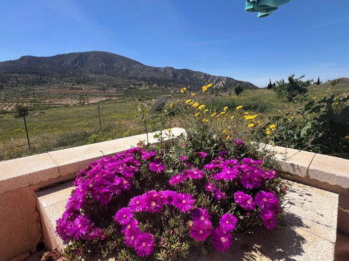 Image No.23-4 Bed Villa for sale