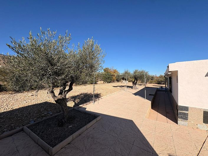 Image No.24-3 Bed Country House for sale