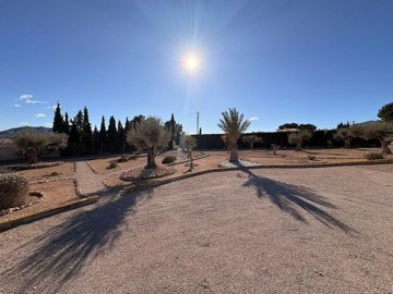 wdh6i2exw24g2my06jmq2