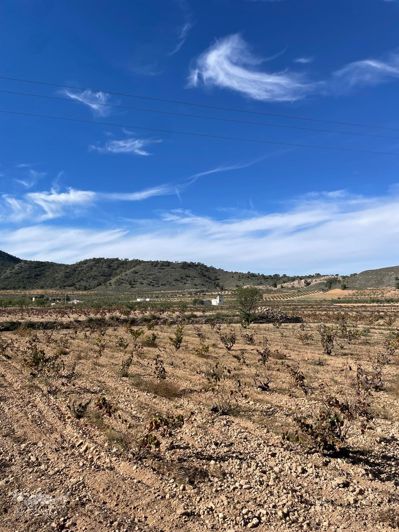 Image No.48-5 Bed Country House for sale