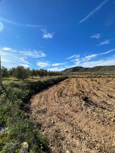 Image No.49-5 Bed Country House for sale