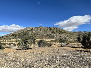 wnbxhw78sz4bqin8bgpeu