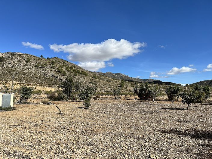 Image No.43-4 Bed Country House for sale