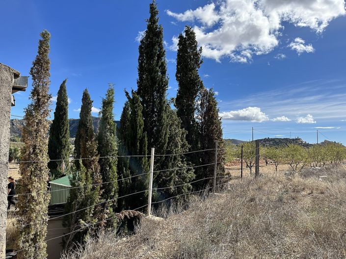 Image No.44-4 Bed Country House for sale