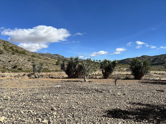 Image No.45-4 Bed Country House for sale