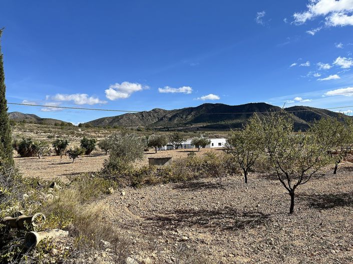 Image No.46-4 Bed Country House for sale