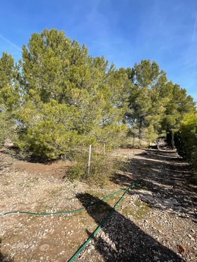 Image No.24-2 Bed Country House for sale