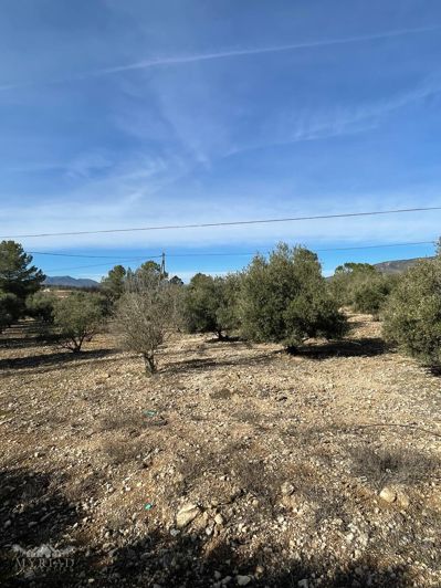 Image No.25-2 Bed Country House for sale