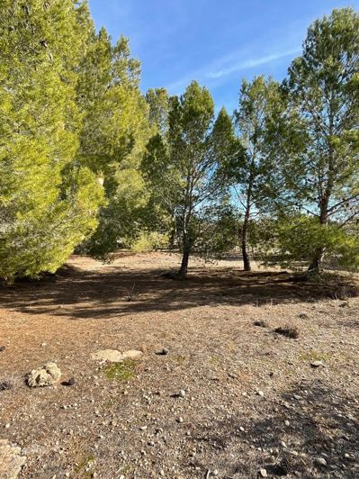 Image No.28-2 Bed Country House for sale