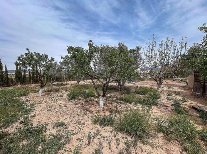 Image No.4-Maison de campagne de 4 chambres à vendre à Sax