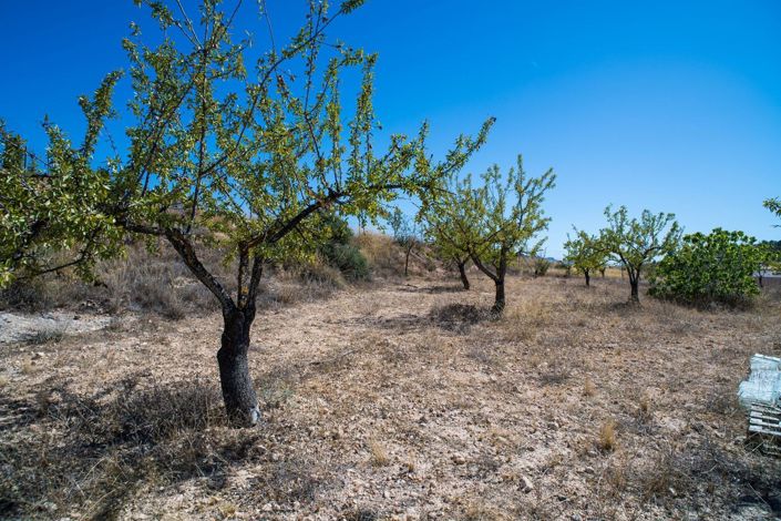 Image No.35-3 Bed Villa for sale