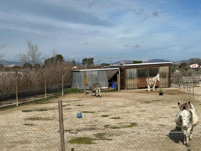 Image No.10-5 Bed Villa for sale