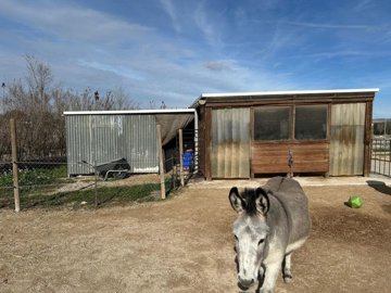 wwhatsapp-image-2026-01-21-at-130300-7-