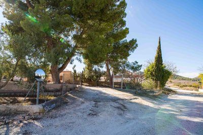 w393815eb-ee6a-4bfb-8a5e-e58363454f91