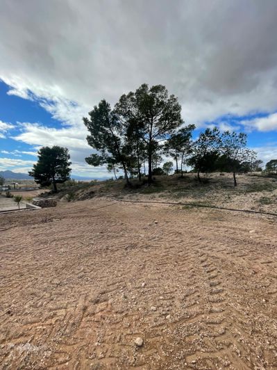 Image No.30-4 Bed Villa for sale