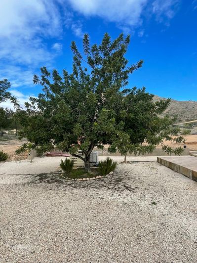 Image No.35-4 Bed Villa for sale