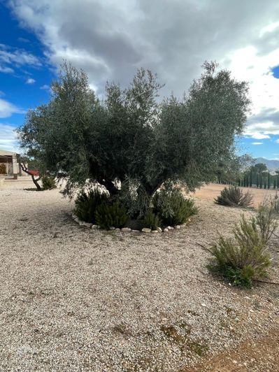 Image No.36-4 Bed Villa for sale