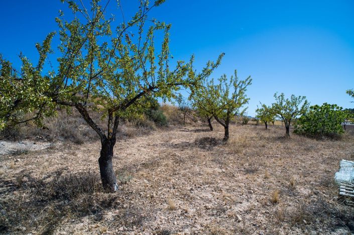 Image No.30-3 Bed Villa for sale