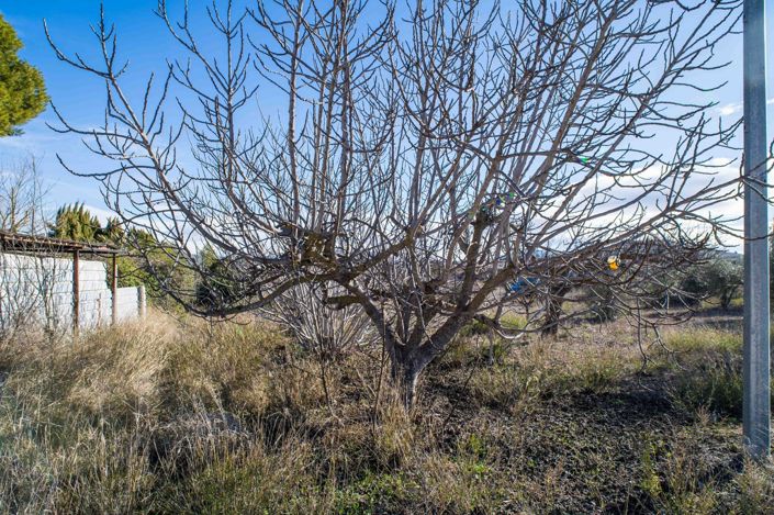 Image No.15-Maison de campagne de 5 chambres à vendre à Pinoso