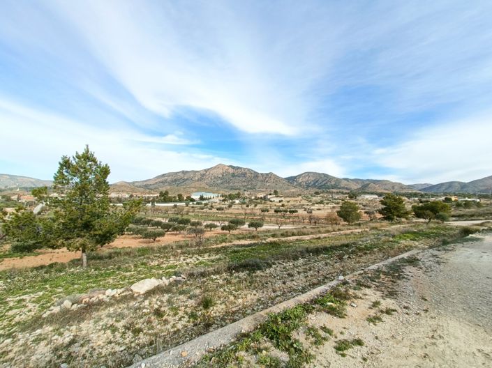 Image No.36-3 Bed Villa for sale