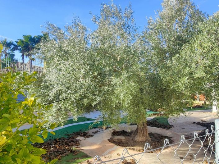 Image No.14-6 Bed Villa for sale