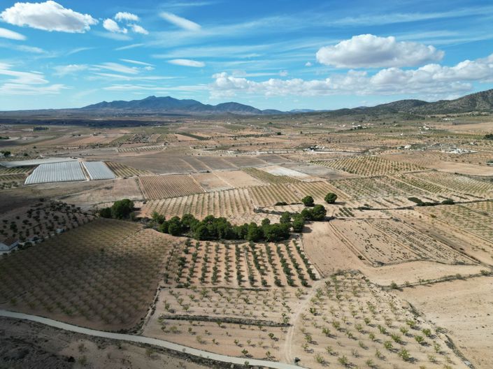 Image No.17-Land for sale