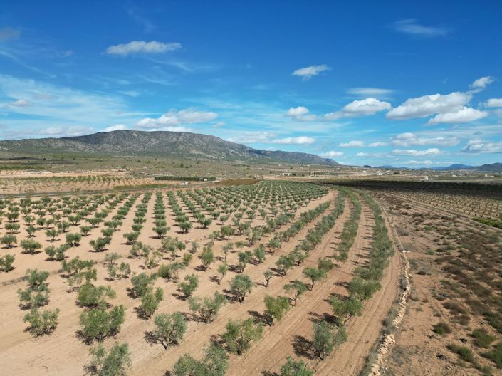 Image No.13-Land for sale