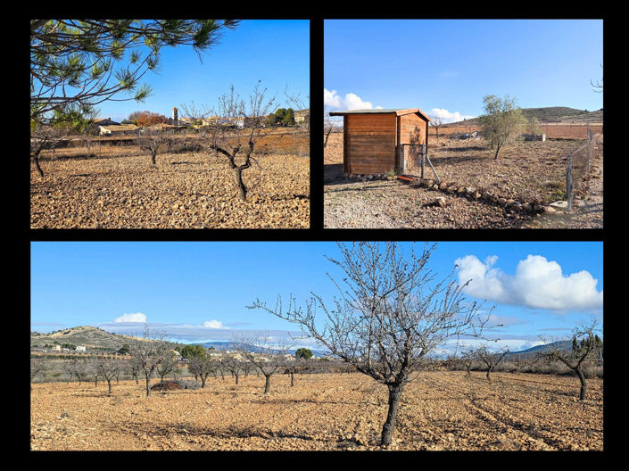 Image No.45-3 Bed Villa for sale