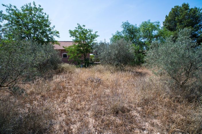 Image No.50-Maison de campagne de 5 chambres à vendre à Pinoso