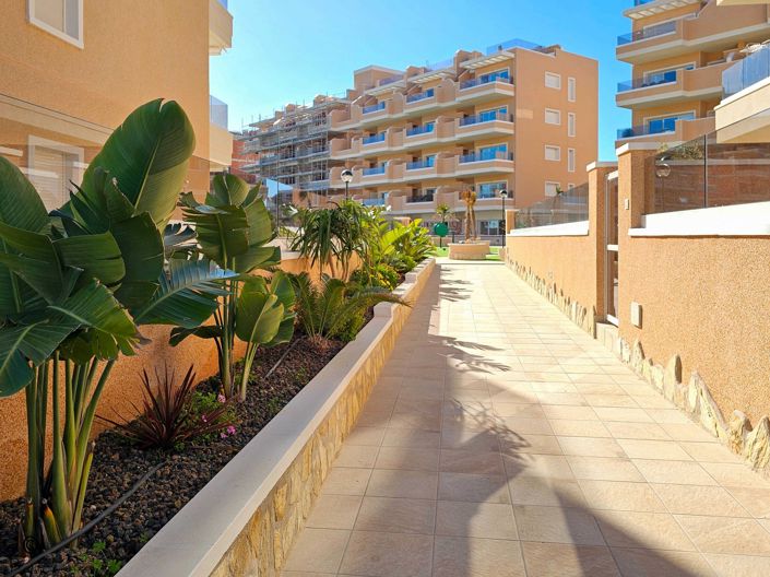 Image No.37-Appartement de 3 chambres à vendre à Guardamar del Segura