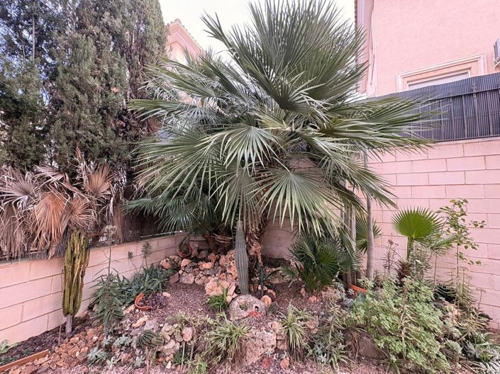 Image No.7-Propriété de 3 chambres à vendre à Elda