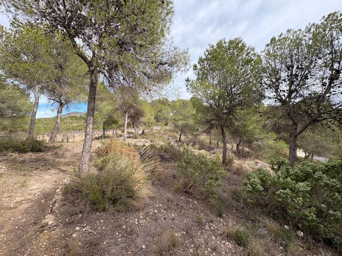 Image No.37-4 Bed Villa for sale