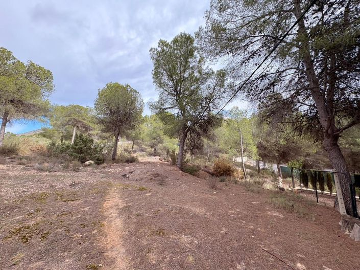 Image No.38-4 Bed Villa for sale