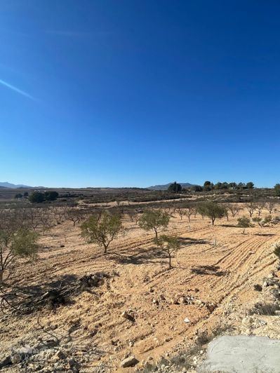 Image No.13-Terre de 1 chambre à vendre à Alicante