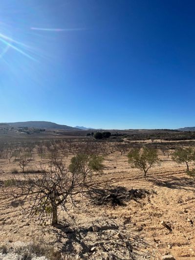 Image No.16-Terre de 1 chambre à vendre à Alicante