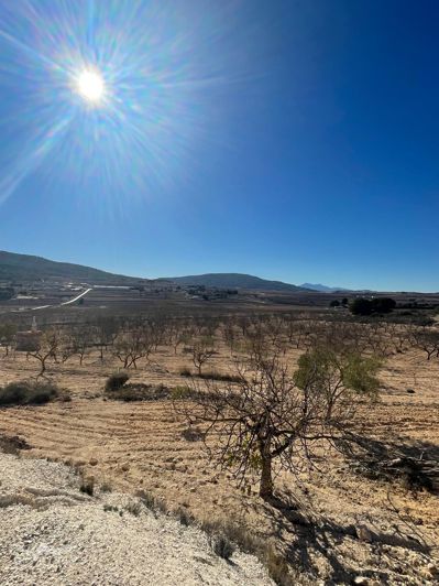 Image No.19-Terre de 1 chambre à vendre à Alicante