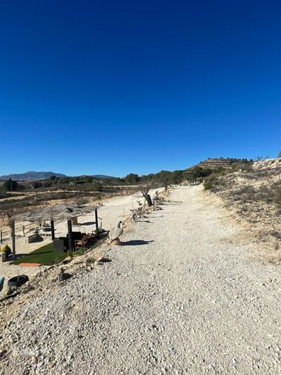 Image No.30-Terre de 1 chambre à vendre à Alicante