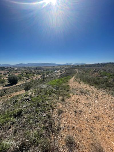 Image No.37-Maison de 3 chambres à vendre à Alicante