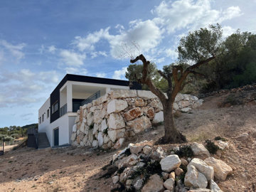 d69cccd585efb269cccd585f01c